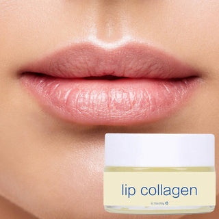 Nuovaderm Lip Collagen – Infused with Vitamin E & Squalane